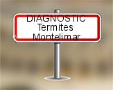 Diagnostic Termite ASE  à Montélimar
